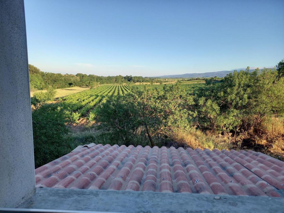 Domaine Saint Augustin Rieux-Minervois Exterior foto