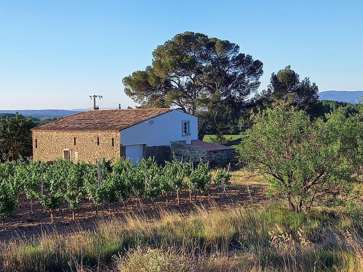 Domaine Saint Augustin Rieux-Minervois Exterior foto